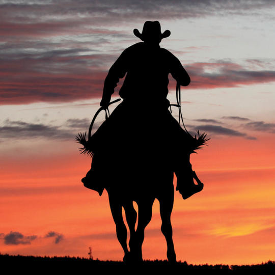 TEXAS - 